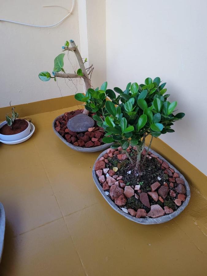 Sandy Beach Hotel Thiruvananthapuram Buitenkant foto